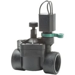 Rain RN 24V Solenoid 150 1 „mit Durchfluss