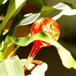 ABCRITAL Bunte Gießkugel Blume Bewässerung Aus Glas Gießarm Gießkugeln Kleiner Selbstbewässernder Blumentopf 6x15cm Für Topfpflanzen-----4pcs -Automatische Bewässerung Verkäufe 30993916 3