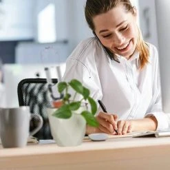 ABCRITAL Plant Self-Watering Stakes For Indoor Outdoor Plants (4 Count) Terracotta Plant Watering Spikes For Recycled Wine Bottles--Stil 1 -Automatische Bewässerung Verkäufe 30994922 4