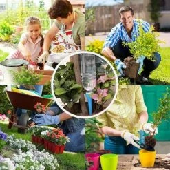 GDRHVFD Tropfbewässerungs-Set, 15-teiliges Automatisches Bewässerungssystem Mit Steuerventilen, Einstellbarem Wasserdurchfluss, Automatische Pflanzensprinkler, Für Garten, Zuhause, Drinnen Und Draußen -Automatische Bewässerung Verkäufe 53812213 5