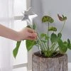 DONTODENT Automatisches Tropfbewässerungssystem Automatische Pflanzenbewässerung Indoor Gardening Home Gewächshaus Wasserflasche Star*1