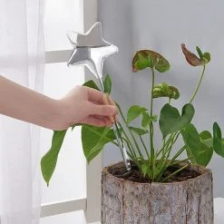 DONTODENT Automatisches Tropfbewässerungssystem Automatische Pflanzenbewässerung Indoor Gardening Home Gewächshaus Wasserflasche Star*1