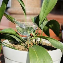DONTODENT Automatisches Tropfbewässerungssystem Automatische Pflanzenbewässerung Indoor Gardening Home Gewächshaus Wasserflasche Vogel * 1