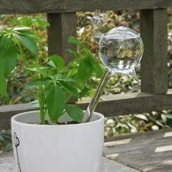 DONTODENT Automatisches Tropfbewässerungssystem Automatische Pflanzenbewässerung Indoor Gardening Haushalt Gewächshaus Wasserflasche Pilz * 1 5 DONTODENT Automatisches Tropfbewässerungssystem Automatische Pflanzenbewässerung Indoor Gardening Haushalt Gewächshaus Wasserflasche Pilz * 1 -Automatische Bewässerung Verkäufe 59850600 3