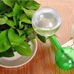 HEGUYEY 8 Stück Bewässerungskugel, Automatische Bewässerungskugel Zum Bewässern Von Zimmerpflanzen, Blumen, Garten, Topfpflanzen, 2 Größen -Automatische Bewässerung Verkäufe 64880972 5
