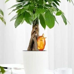 BENOBBY KIDS 3-teiliges Tropfbew?sserungs-Kit Automatische Bew?sserung Vogel Pflanzenbew?sserung Zimmerpflanze Sprinkler Outdoor Blumentopf Dekoration -Automatische Bewässerung Verkäufe 65688095 3