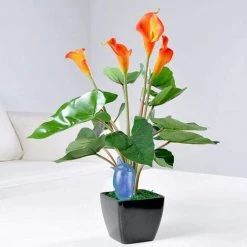 BENOBBY KIDS 3-teiliges Tropfbew?sserungs-Kit Automatische Bew?sserung Vogel Pflanzenbew?sserung Zimmerpflanze Sprinkler Outdoor Blumentopf Dekoration -Automatische Bewässerung Verkäufe 65688095 4