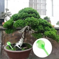 BENOBBY KIDS 8 Pflanzenwasserspender In Einem Bew?sserungsball Selbstbew?sserungs-Bew?sserungsbeutel Selbstbew?sserungsstapel -Automatische Bewässerung Verkäufe 65688109 4