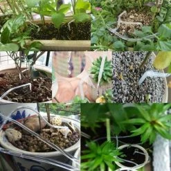 MONLY Mikroautomatisches Tropfbewässerungsset, Selbstbewässerungssystem Mit Elektronischem Bewässerungstimer Für 30 Tage -Automatische Bewässerung Verkäufe 66481372 5