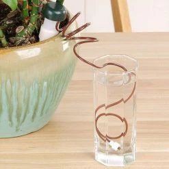 MONLY Automatisches Bewässerungssystem Mit Bewässerungsstäben, 6-teiliges Automatisches Pflanzenbewässerungssystem, Urlaubspflanzenbewässerungssystem, Zimmerpflanzenbewässerungssystem -Automatische Bewässerung Verkäufe 68291342 4