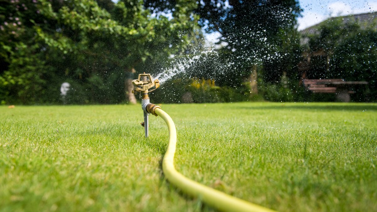 Automatische Bewässerung Verkäufe -Automatische Bewässerung Verkäufe Laeuft von allein Au 69502503 cf41b71fb4b54616